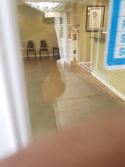 Washington Veterinary Clinic Picture 8