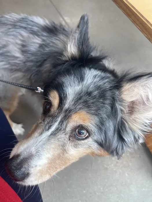 Washington Veterinary Clinic Picture 6