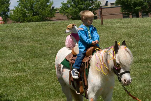 Pet Station Picture 1