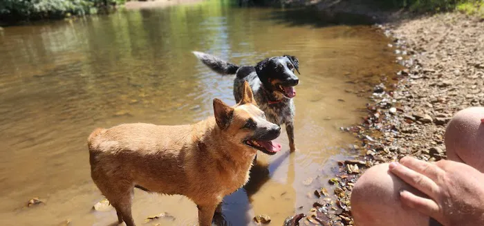 Pet Station Picture 5