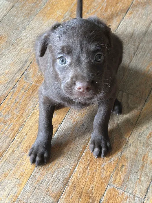 Animal Clinic Of Union Picture 5