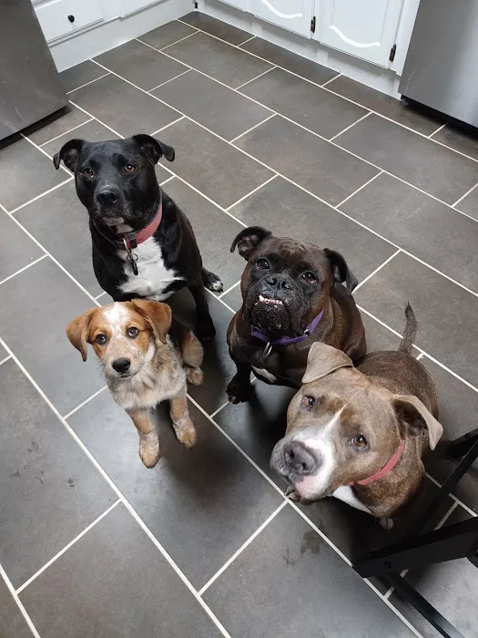 Animal Clinic Of Union Picture 2