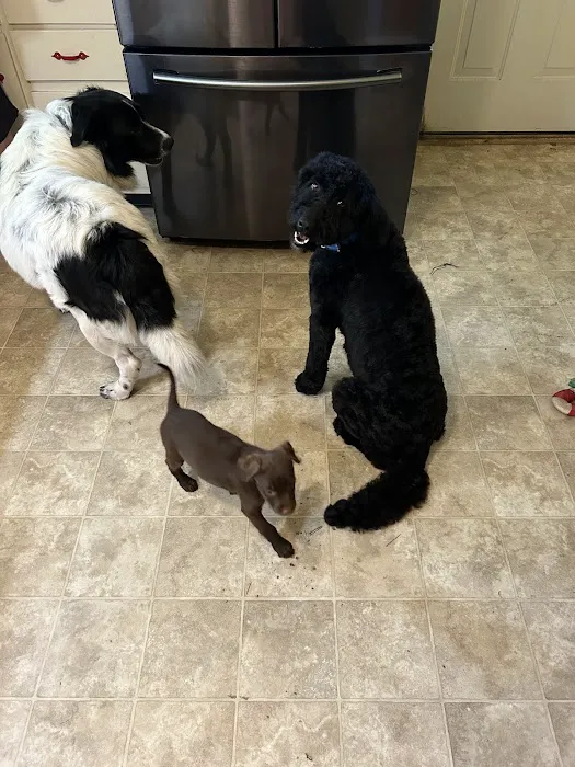 Animal Clinic Of Union Picture 7