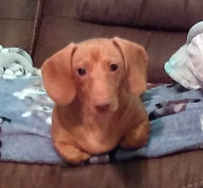 Animal Clinic Of Union Picture 10