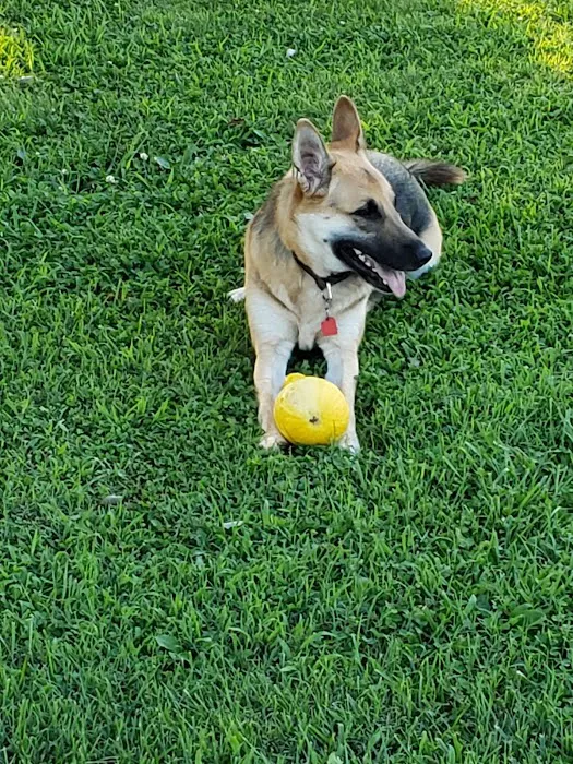 Southside Veterinary Clinic Picture 2