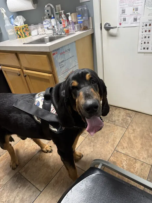 Southside Veterinary Clinic Picture 3