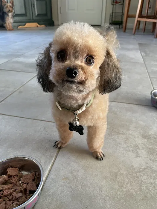 Southside Veterinary Clinic Picture 4