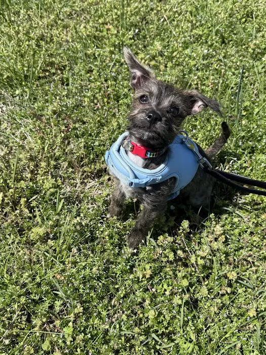 Southside Veterinary Clinic Picture 9