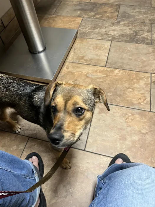 Southside Veterinary Clinic Picture 10