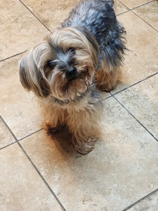 Hub City Animal Hospital Picture 3