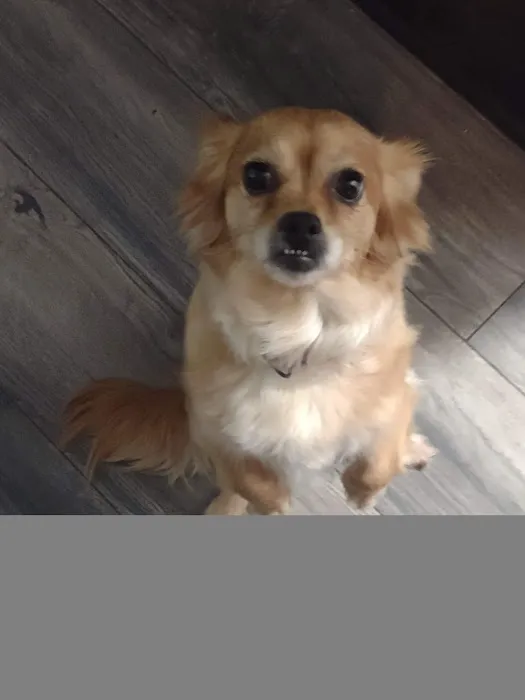 Hub City Animal Hospital Picture 2