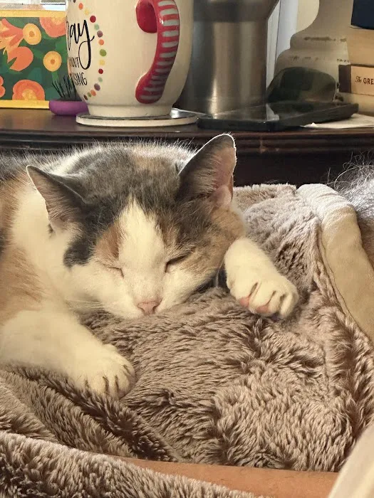 Hub City Animal Hospital Picture 4