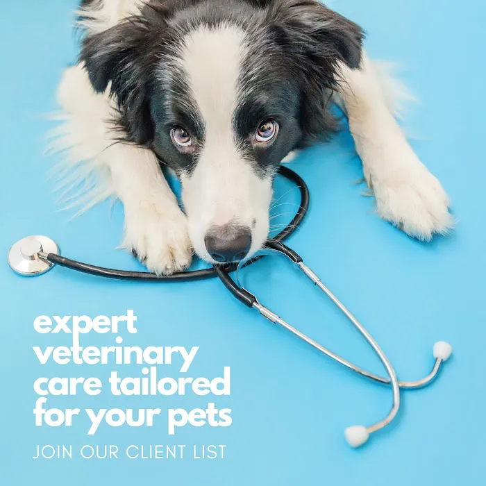 Hub City Animal Hospital Picture 7