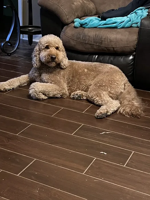 Hub City Animal Hospital Picture 6