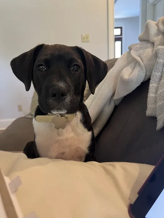 Hub City Animal Hospital Picture 5