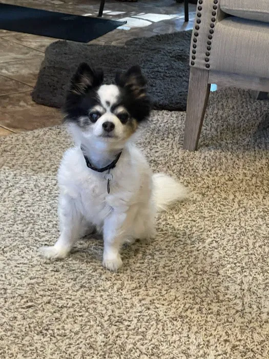 Hub City Animal Hospital Picture 9