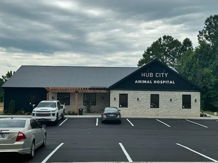 Hub City Animal Hospital Picture 10
