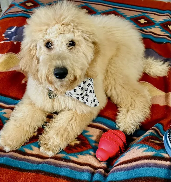 Hub City Animal Hospital Picture 8