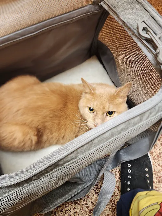 Jackson Animal Clinic Picture 2