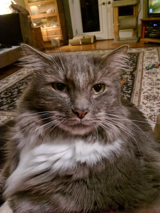 Jackson Animal Clinic Picture 3