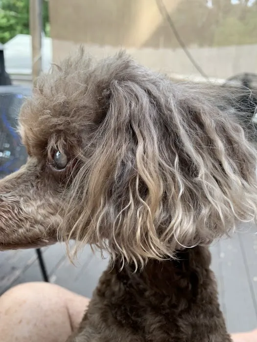 Jackson Animal Clinic Picture 6