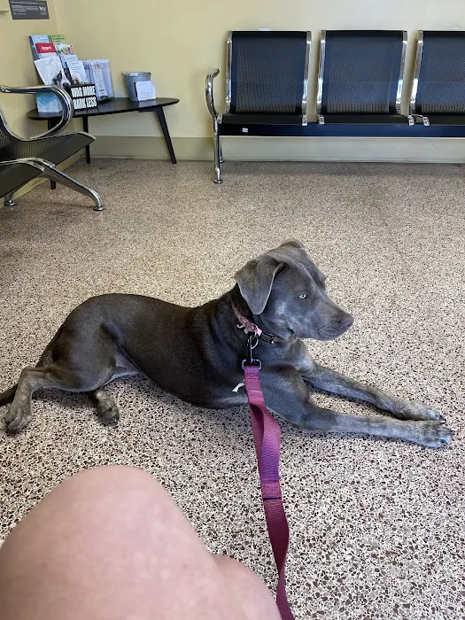 Jackson Animal Clinic Picture 8