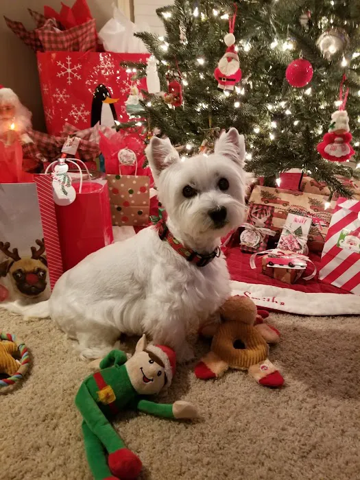 Jackson Animal Clinic Picture 5