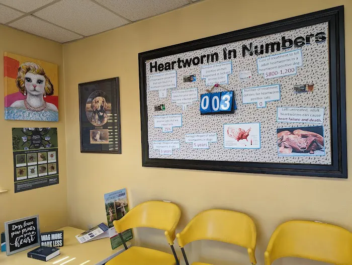 Jackson Animal Clinic Picture 7