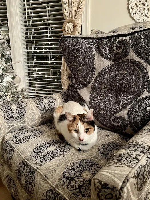 Jackson Animal Clinic Picture 9