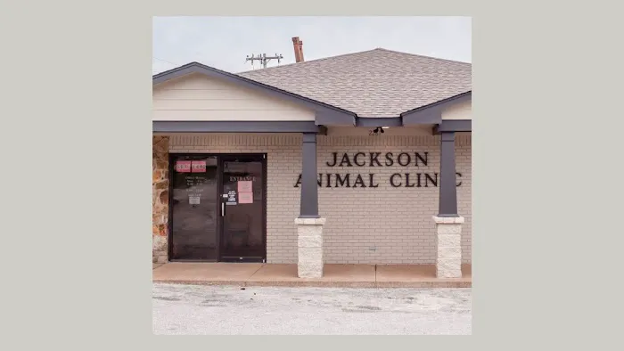 Jackson Animal Clinic Picture 10