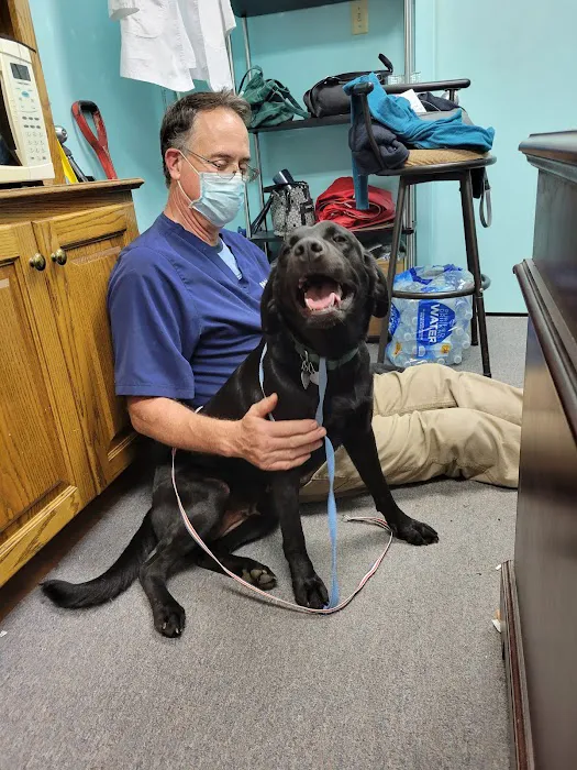 Parkway Animal Hospital Picture 1