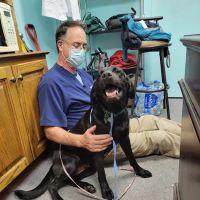 Parkway Animal Hospital ico