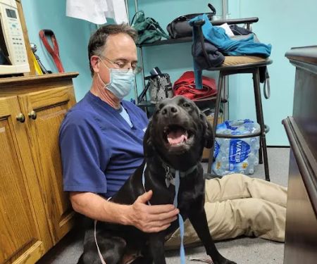 Parkway Animal Hospital