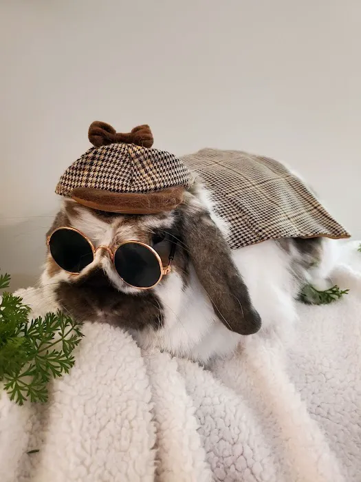 Parkway Animal Hospital Picture 3