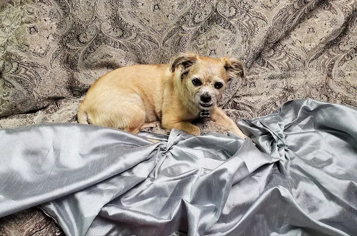 Parkway Animal Hospital Picture 4