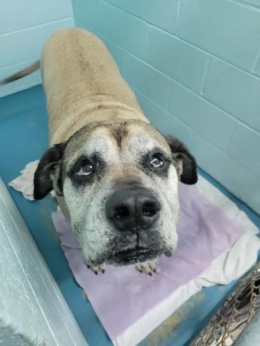 Parkway Animal Hospital Picture 7