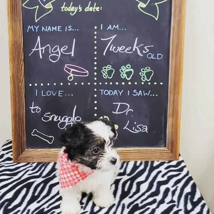 Parkway Animal Hospital Picture 8