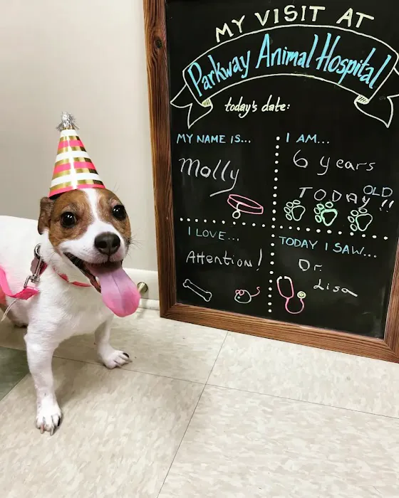 Parkway Animal Hospital Picture 6