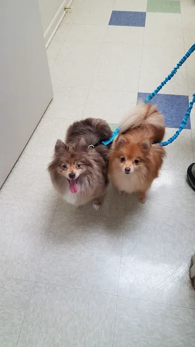 Parkway Animal Hospital Picture 10