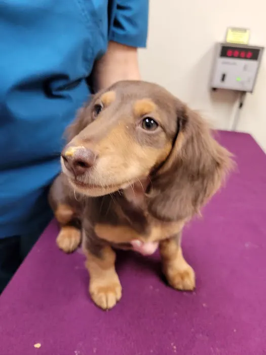 Parkway Animal Hospital Picture 9