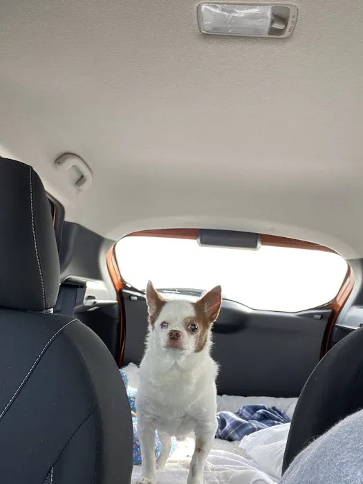 Carlton Animal Clinic Picture 1