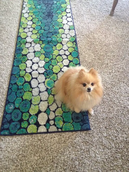 Carlton Animal Clinic Picture 3