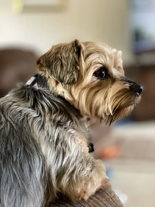 Carlton Animal Clinic Picture 5