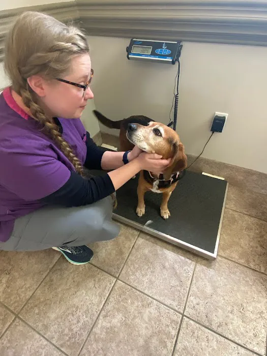 Carlton Animal Clinic Picture 9