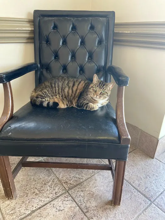 Carlton Animal Clinic Picture 8