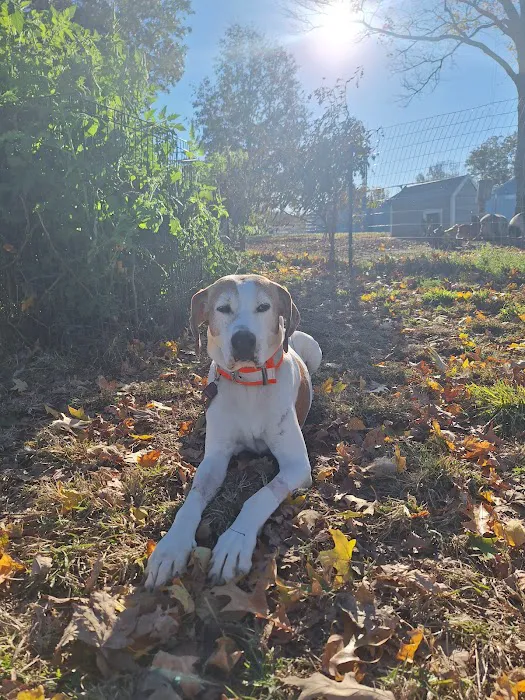 Haywood Animal Hospital Picture 1