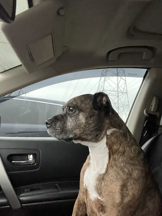 Haywood Animal Hospital Picture 4