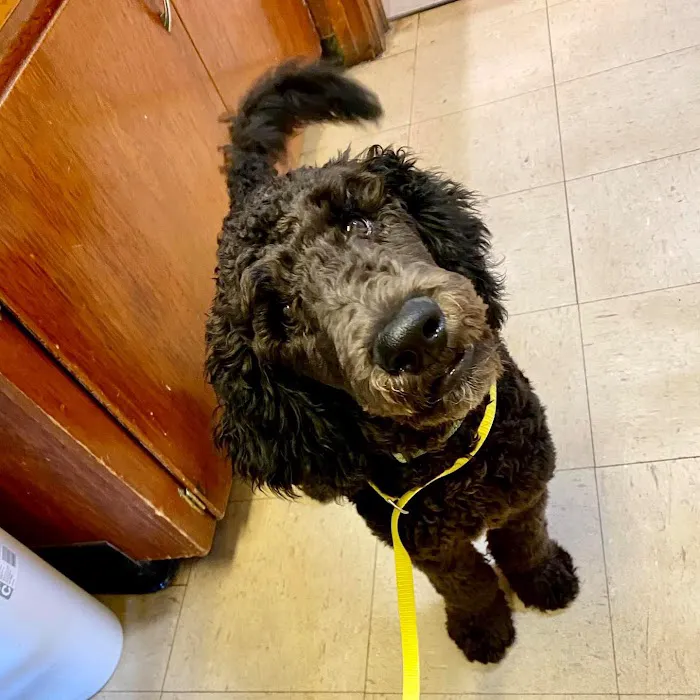 Coffee Memorial Animal Clinic, PSC Picture 5