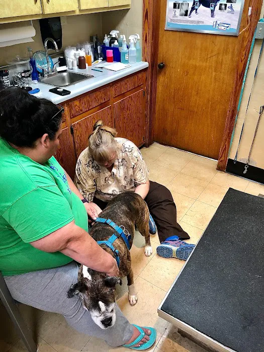 Coffee Memorial Animal Clinic, PSC Picture 8