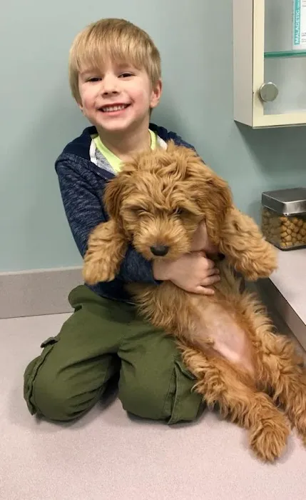 Gentle Doctor Animal Hospital Picture 10